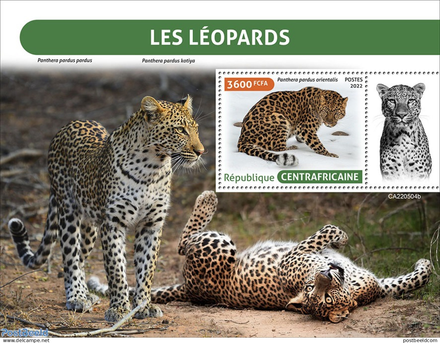 Central Africa 2022 Leopards, Mint NH, Nature - Cat Family - Centrafricaine (République)