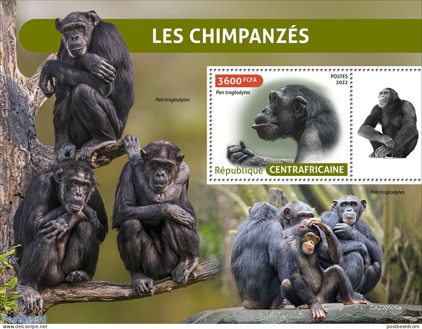 Central Africa 2022 Chimpanzees, Mint NH, Nature - Monkeys - Centrafricaine (République)