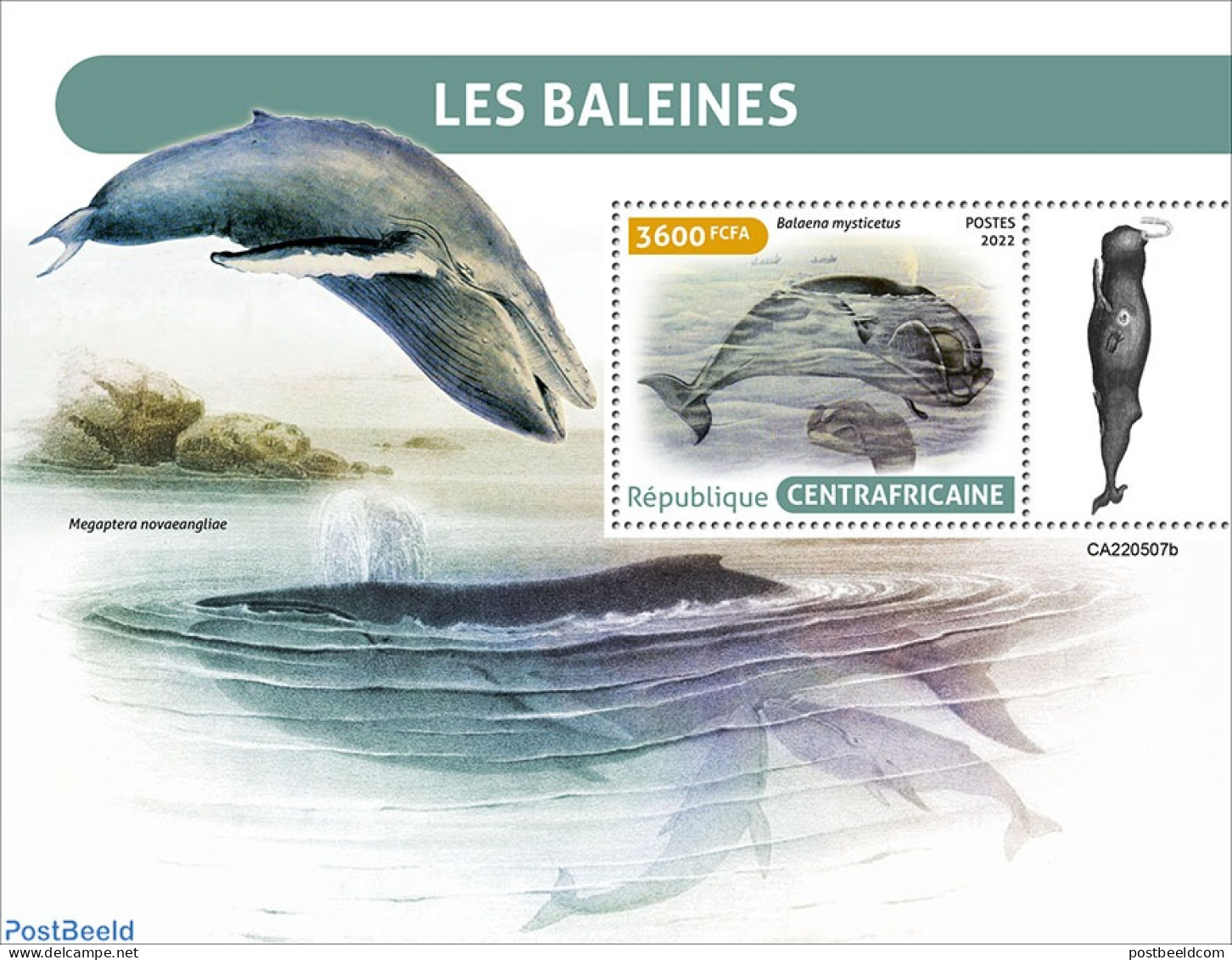 Central Africa 2022 Whales, Mint NH, Nature - Sea Mammals - Centraal-Afrikaanse Republiek