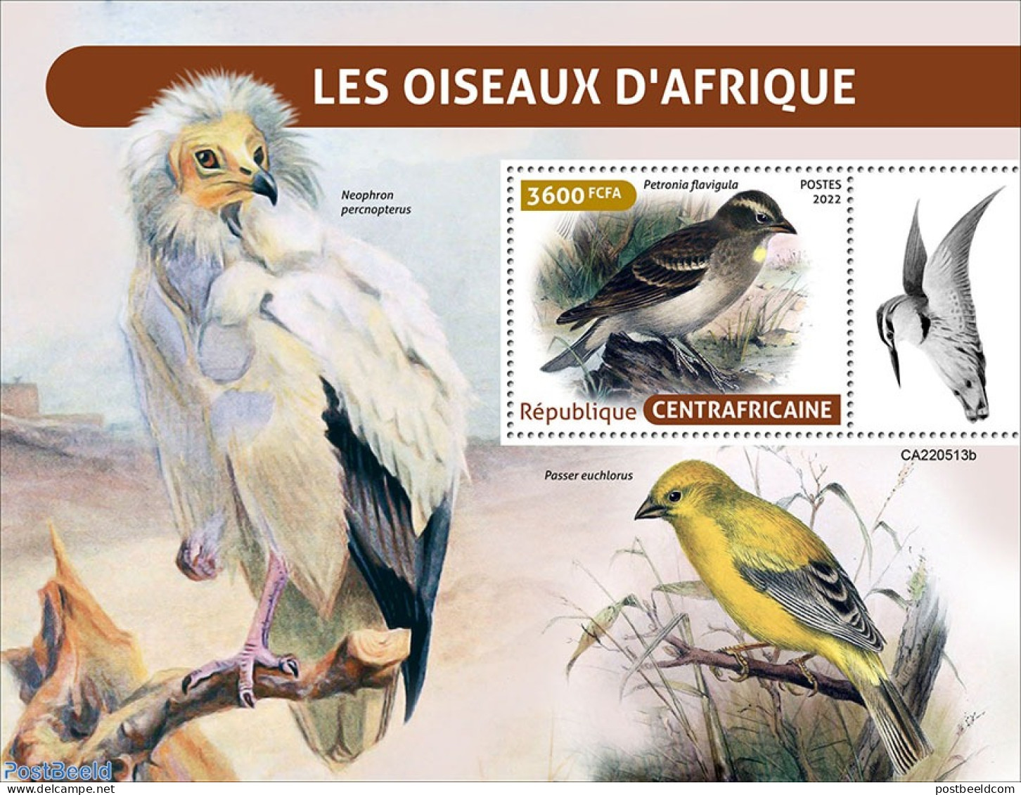 Central Africa 2022 African Birds, Mint NH, Nature - Birds - Birds Of Prey - Centraal-Afrikaanse Republiek