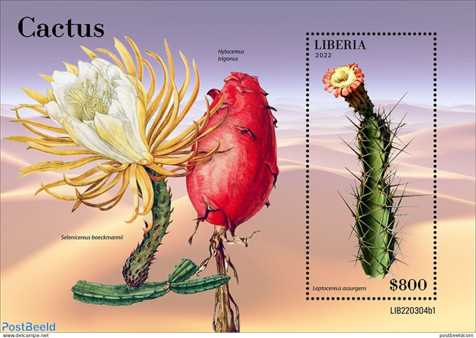 Liberia 2022 Cactus, Mint NH, Nature - Cacti - Flowers & Plants - Cactusses