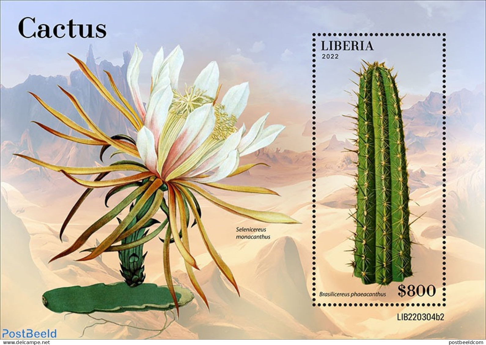 Liberia 2022 Cactus, Mint NH, Nature - Cacti - Flowers & Plants - Sukkulenten