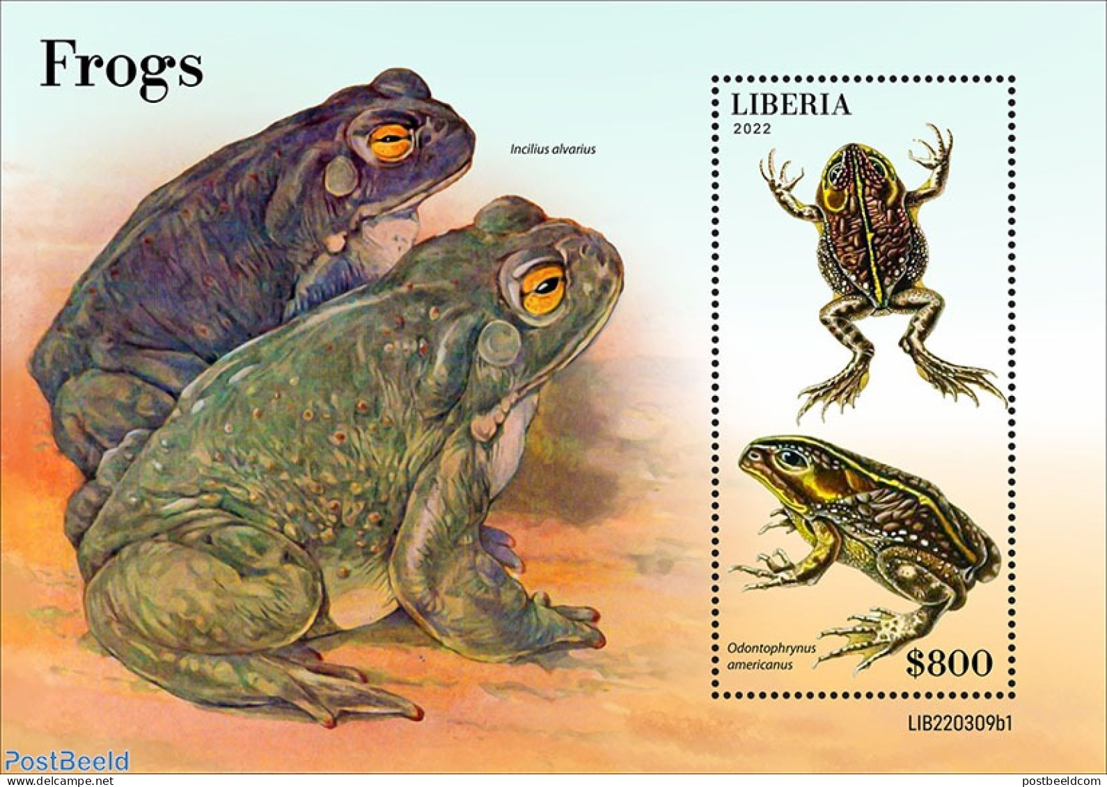 Liberia 2022 Frogs, Mint NH, Nature - Frogs & Toads - Other & Unclassified