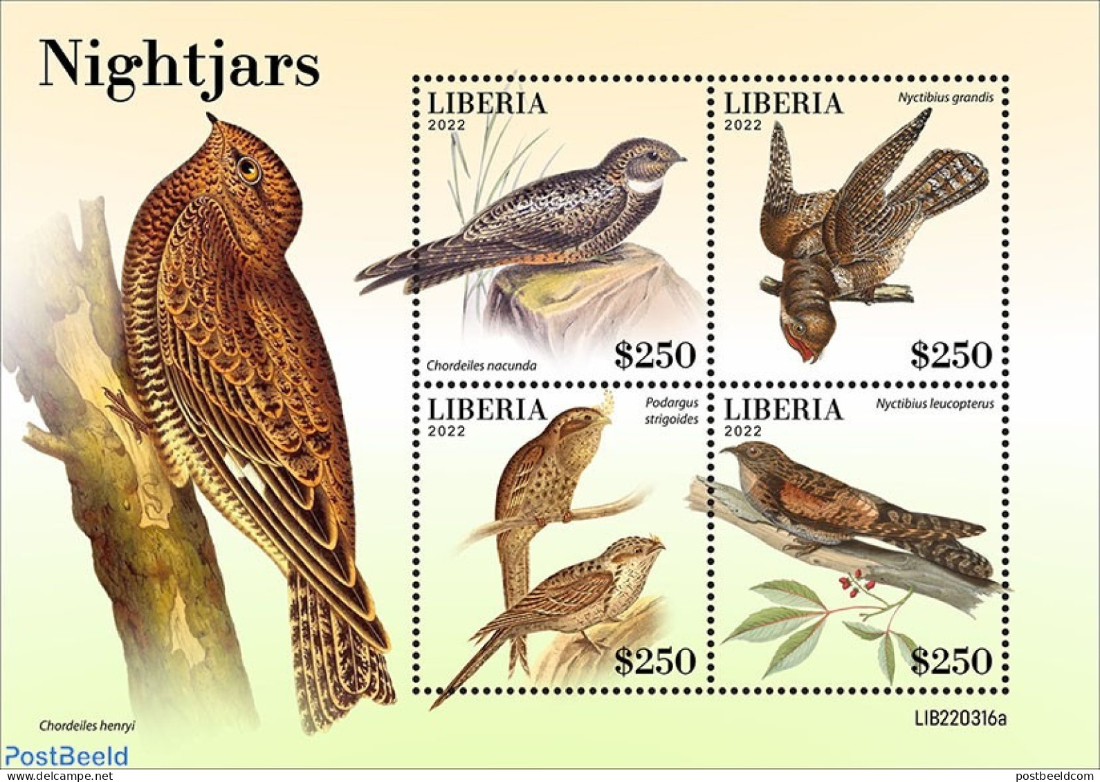 Liberia 2022 Nightjars, Mint NH, Nature - Birds - Other & Unclassified