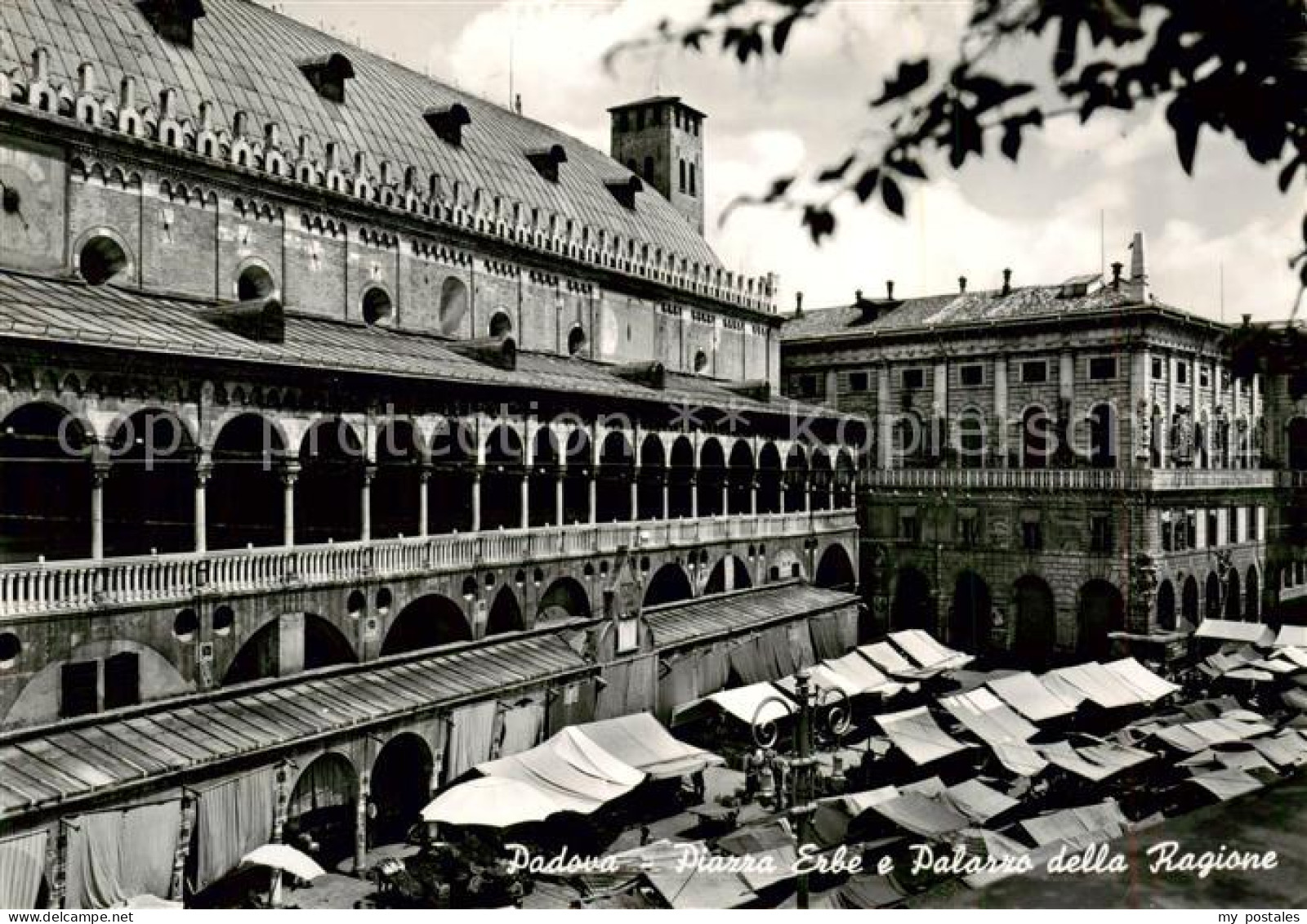 73793174 Padova IT Piazza Erbe E Palazzo Della Ragione  - Sonstige & Ohne Zuordnung