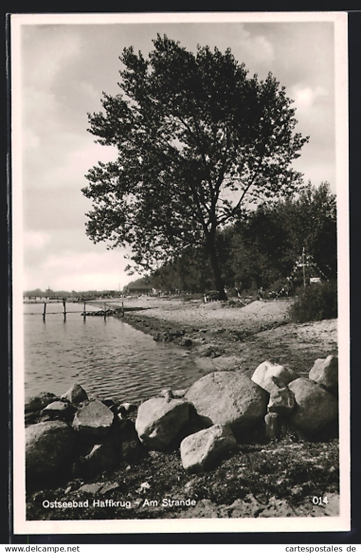 AK Haffkrug, Steinige Strandpartie Mit Baum  - Other & Unclassified