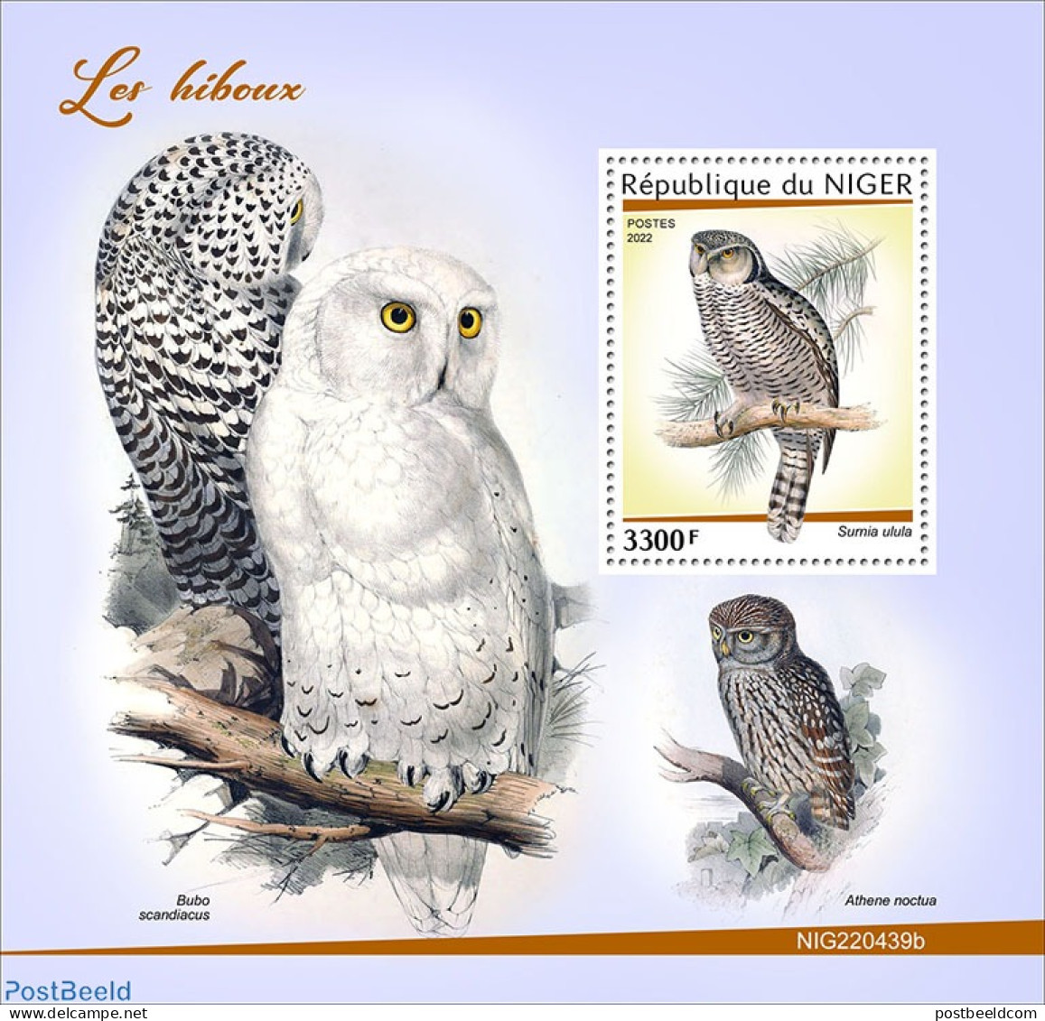 Niger 2022 Owls, Mint NH, Nature - Birds - Birds Of Prey - Owls - Níger (1960-...)