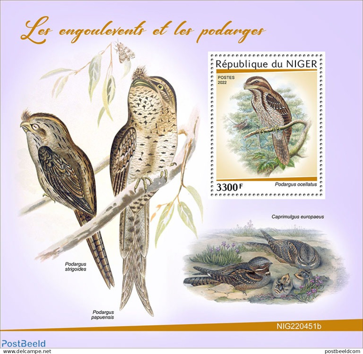 Niger 2022 Nightjars And Frogmouths, Mint NH, Nature - Birds - Níger (1960-...)