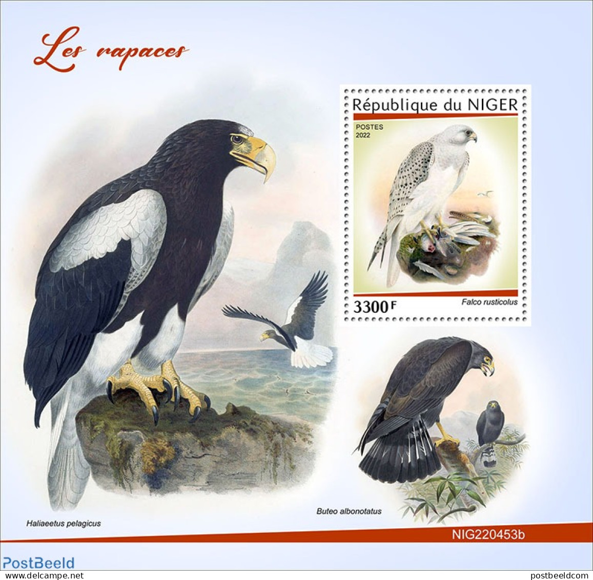 Niger 2022 Birds Of Prey, Mint NH, Nature - Birds Of Prey - Níger (1960-...)