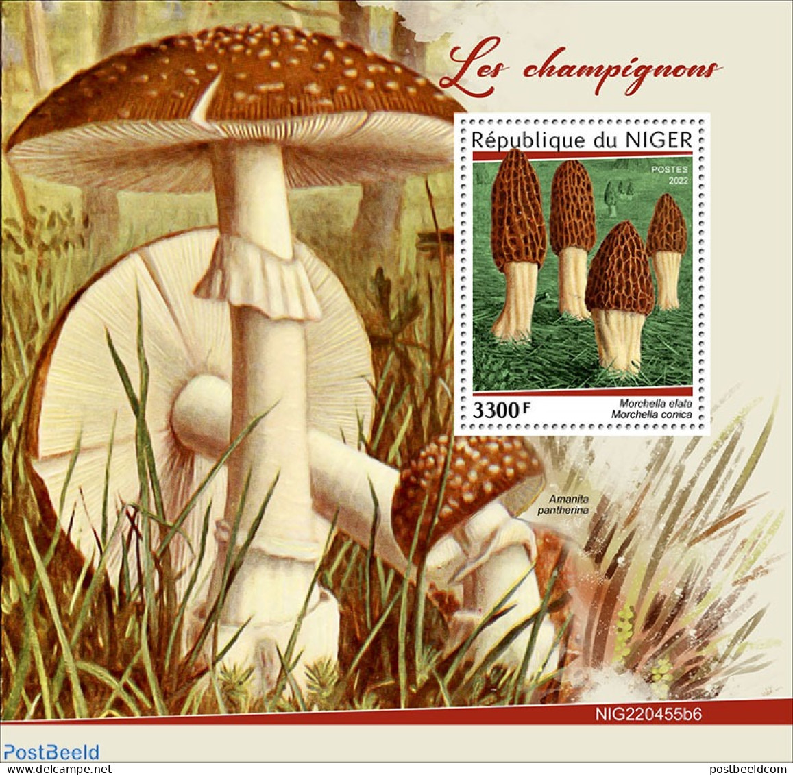 Niger 2022 Mushrooms, Mint NH, Nature - Mushrooms - Funghi