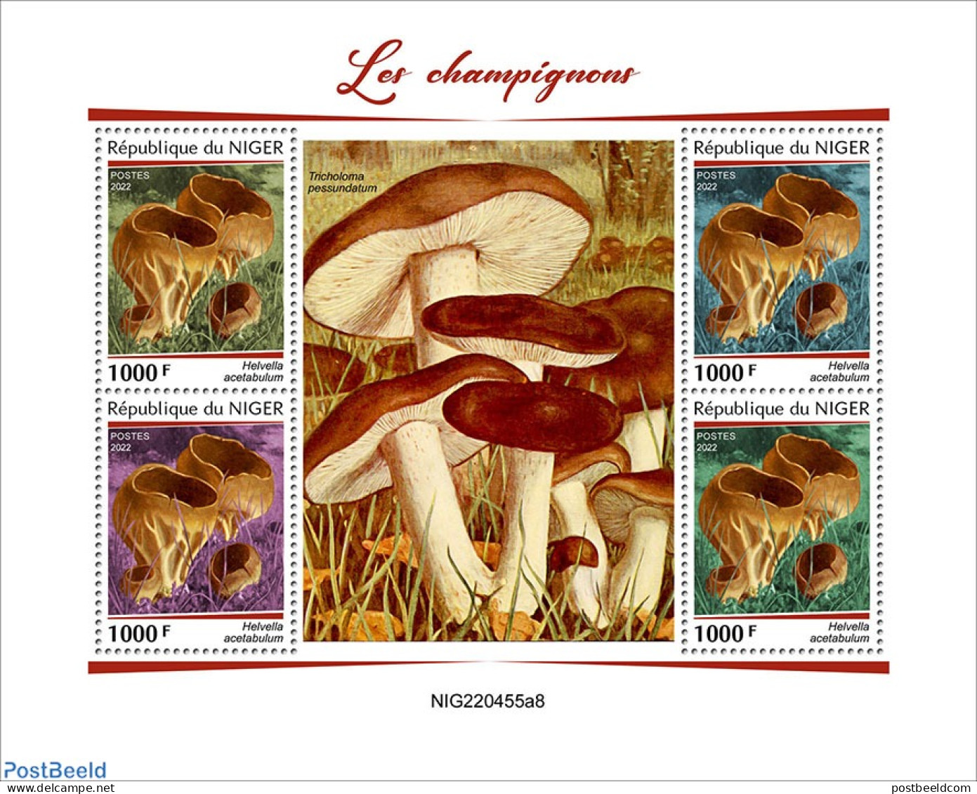 Niger 2022 Mushrooms, Mint NH, Nature - Mushrooms - Pilze