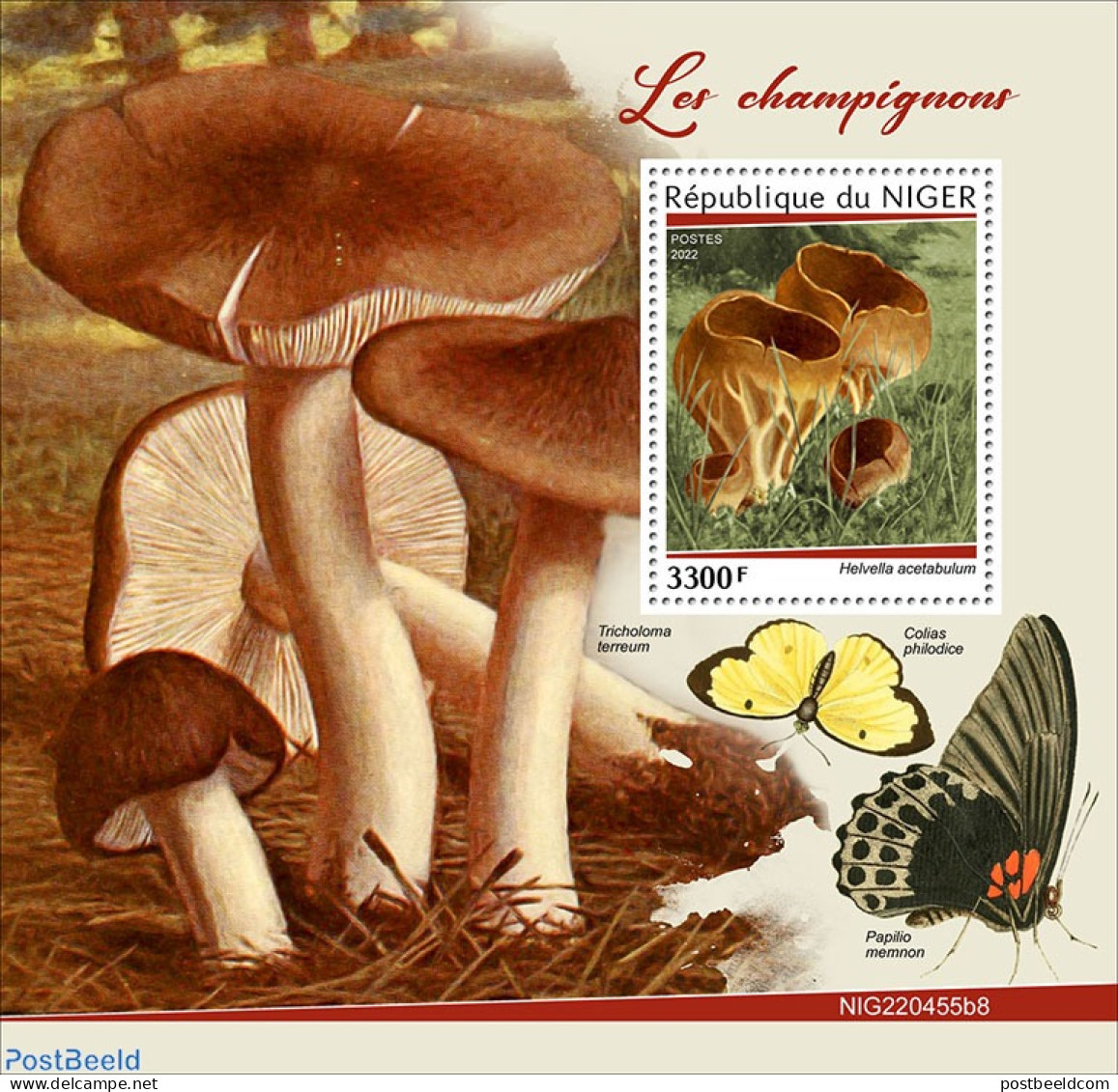 Niger 2022 Mushrooms, Mint NH, Nature - Butterflies - Mushrooms - Mushrooms