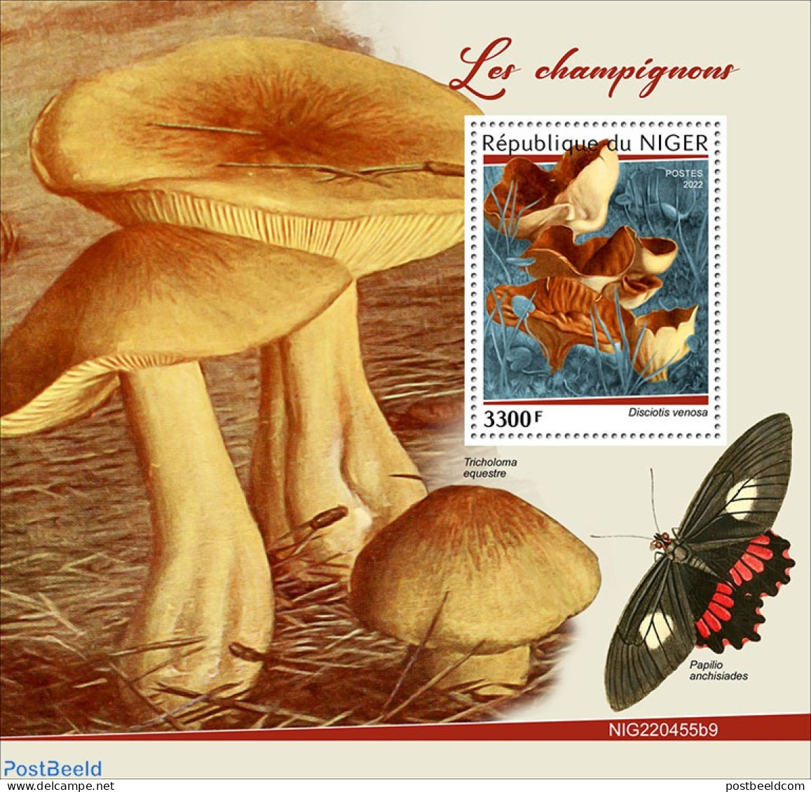 Niger 2022 Mushrooms, Mint NH, Nature - Butterflies - Mushrooms - Pilze