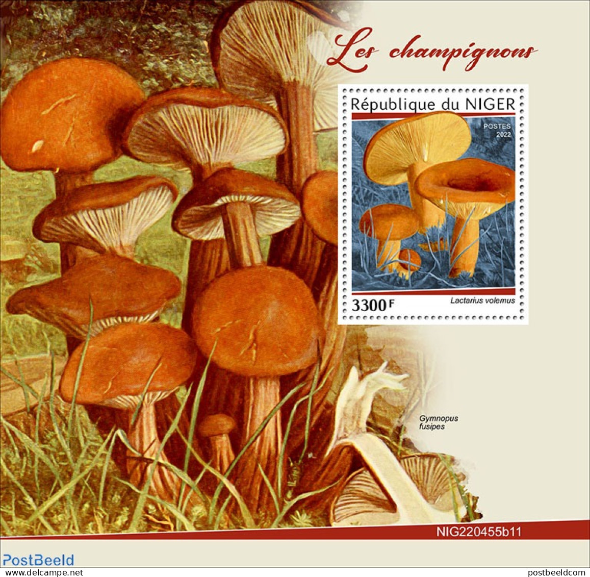 Niger 2022 Mushrooms, Mint NH, Nature - Mushrooms - Pilze