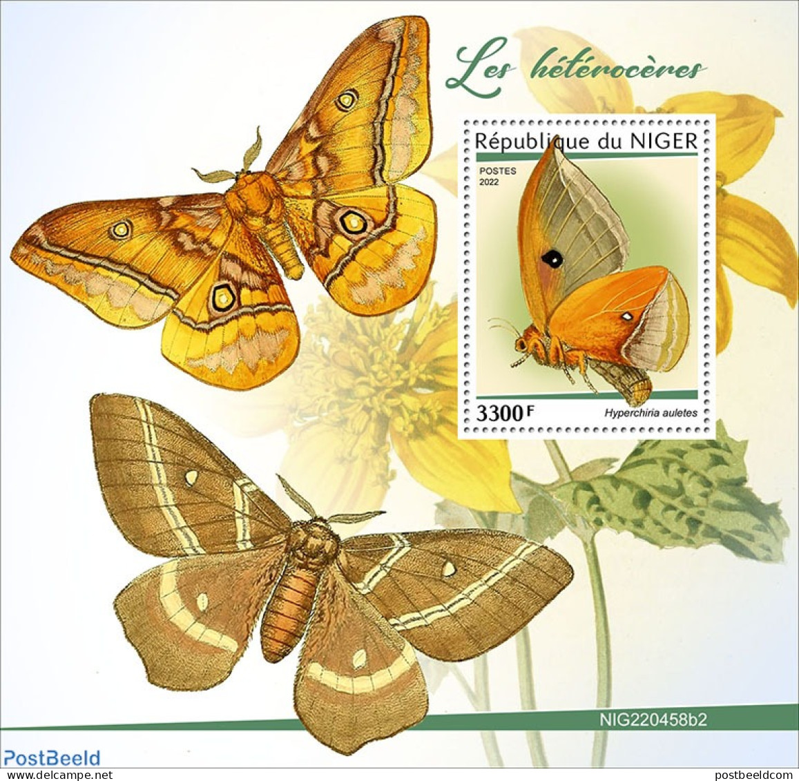 Niger 2022 Moths, Mint NH, Nature - Insects - Níger (1960-...)