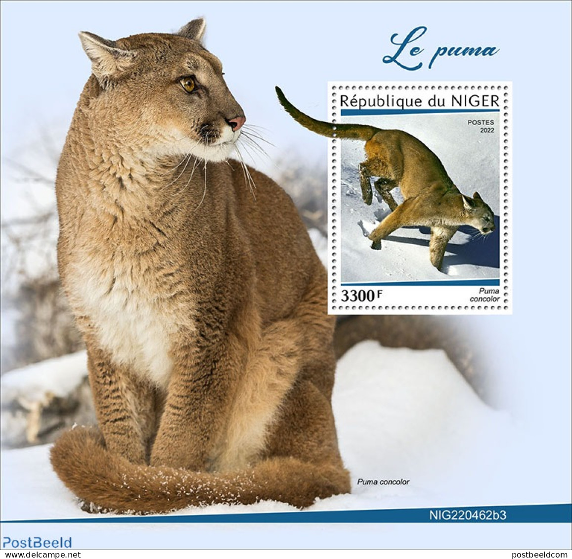 Niger 2022 Puma/Cougar, Mint NH, Nature - Cat Family - Níger (1960-...)