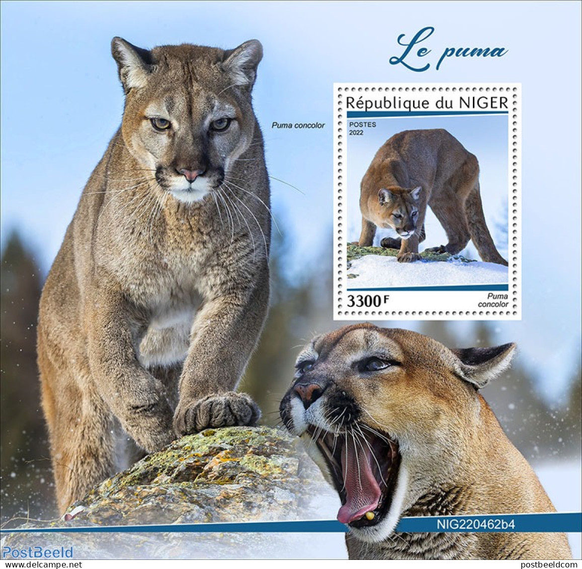 Niger 2022 Puma/Cougar, Mint NH, Nature - Cat Family - Niger (1960-...)