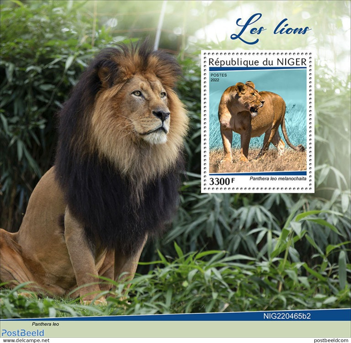 Niger 2022 Lions, Mint NH, Nature - Cat Family - Níger (1960-...)