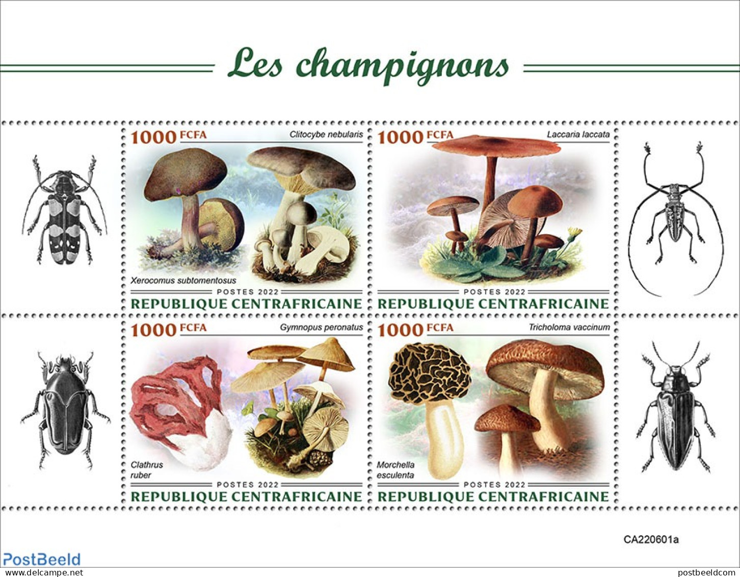 Central Africa 2022 Mushrooms, Mint NH, Nature - Mushrooms - Champignons
