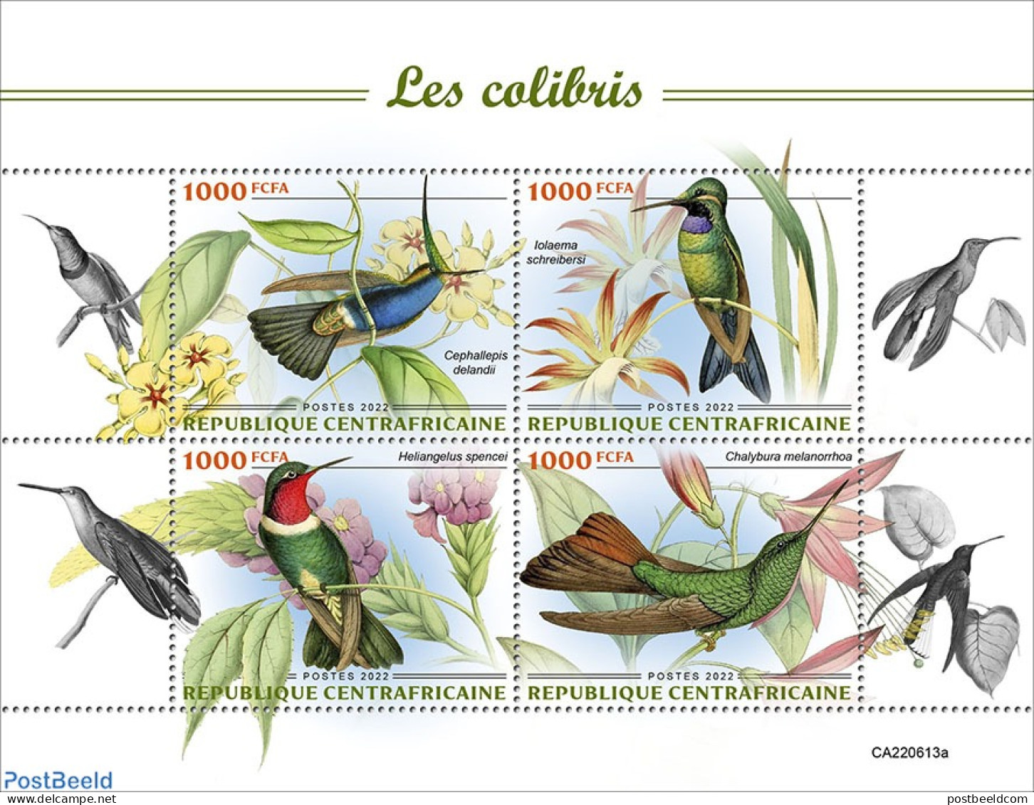 Central Africa 2022 Hummingbirds, Mint NH, Nature - Birds - Hummingbirds - Zentralafrik. Republik