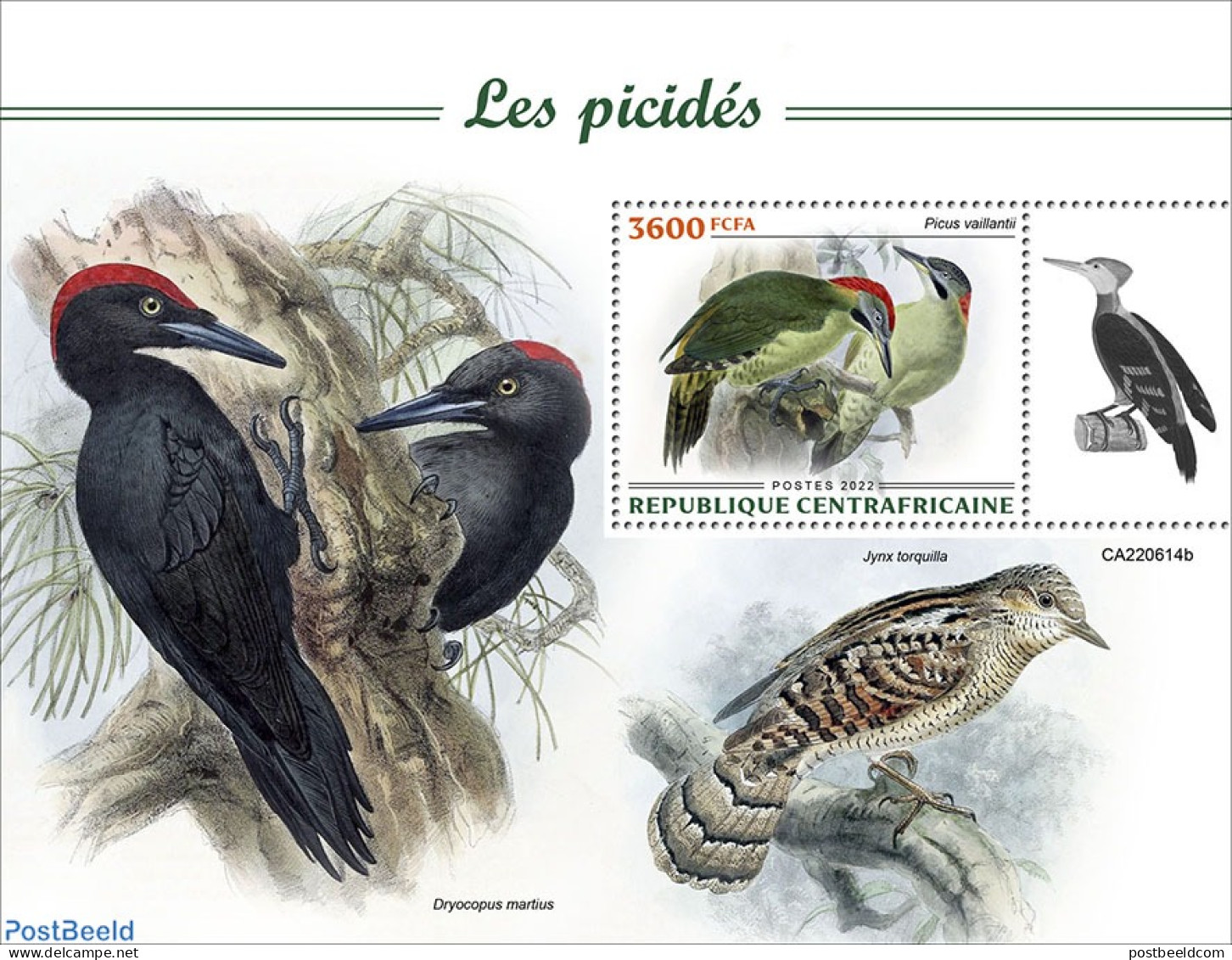 Central Africa 2022 Woodpeckers, Mint NH, Nature - Birds - Woodpeckers - Zentralafrik. Republik
