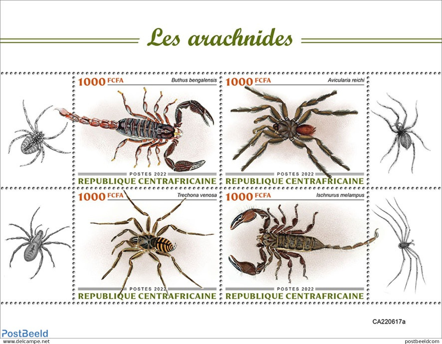 Central Africa 2022 Arachnids, Mint NH, Nature - Animals (others & Mixed) - Insects - Centrafricaine (République)