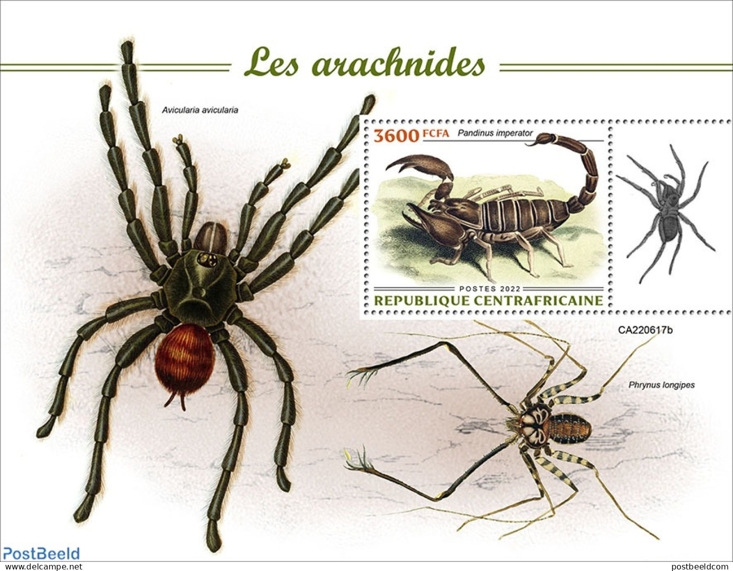 Central Africa 2022 Arachnids, Mint NH, Nature - Animals (others & Mixed) - Insects - Zentralafrik. Republik