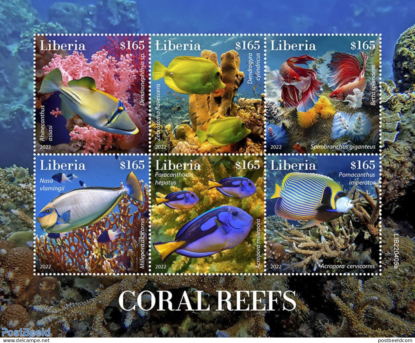 Liberia 2022 Coral Reefs, Mint NH, Nature - Fish - Vissen
