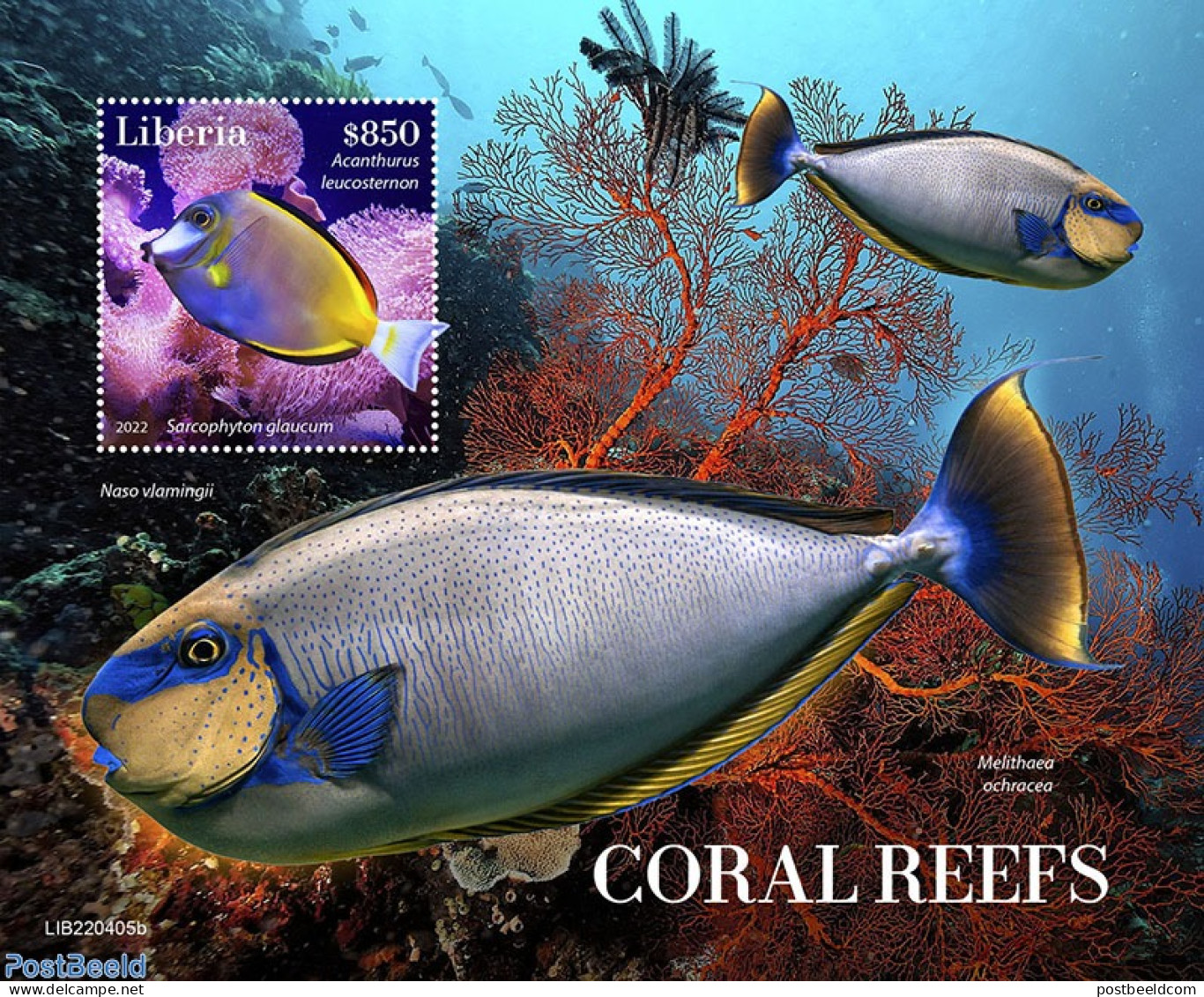 Liberia 2022 Coral Reefs, Mint NH, Nature - Fish - Corals - Fishes