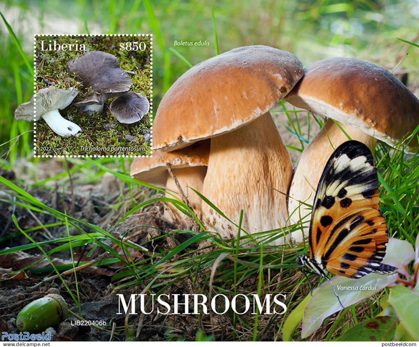 Liberia 2022 Mushrooms, Mint NH, Nature - Butterflies - Mushrooms - Mushrooms