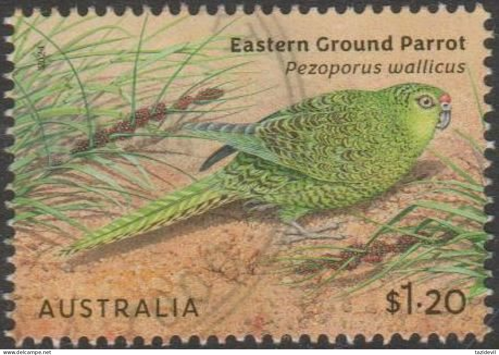 AUSTRALIA - USED 2024 $1.20 Australian Ground Parrots - Eastern Ground Parrot - Used Stamps