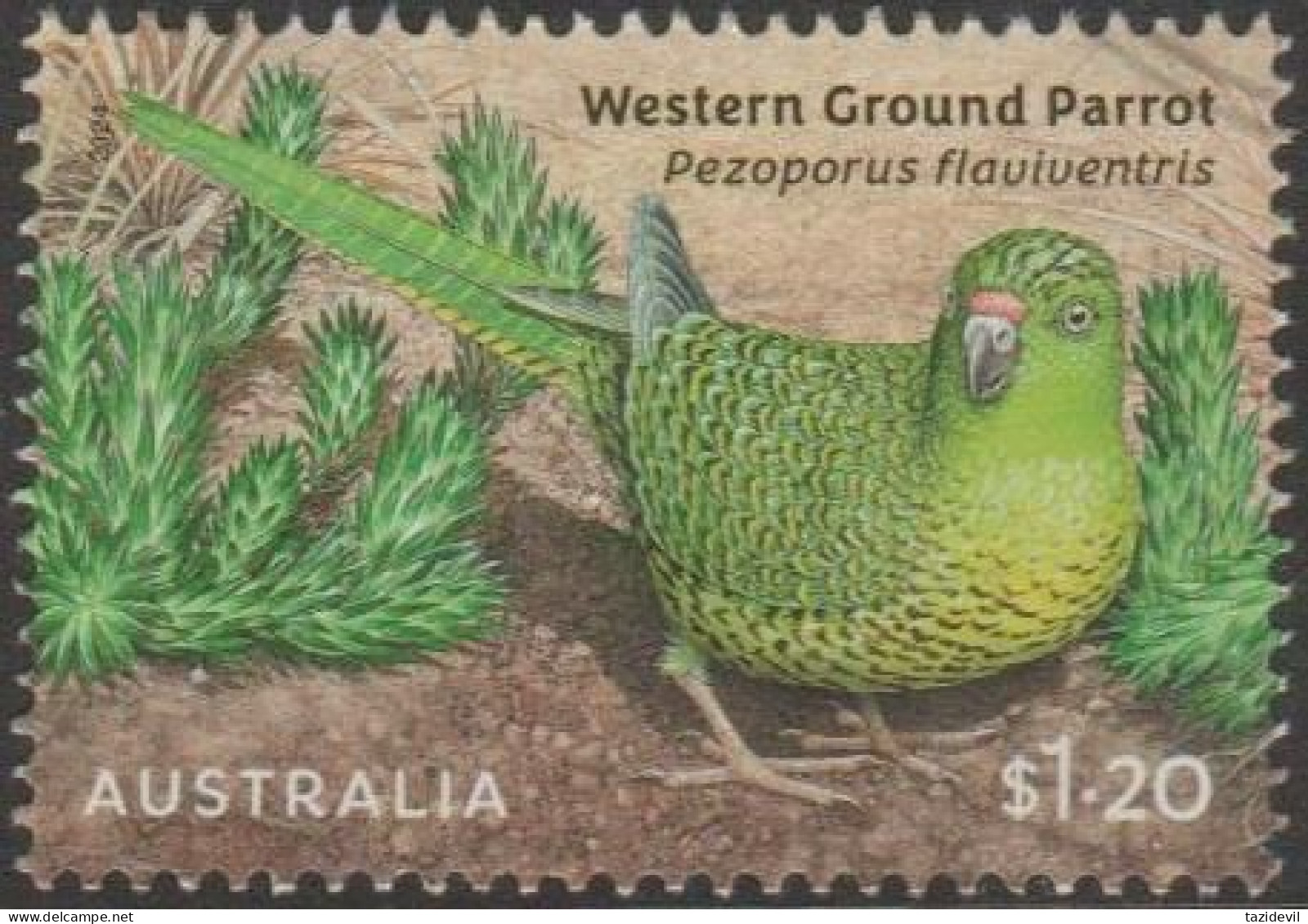 AUSTRALIA - USED 2024 $1.20 Australian Ground Parrots - Western Ground Parrot - Gebruikt