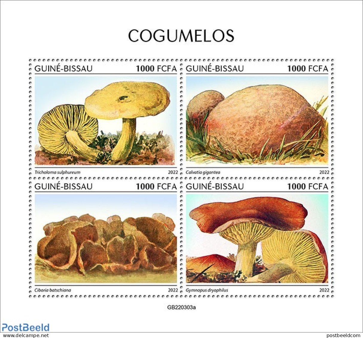 Guinea Bissau 2022 Mushrooms, Mint NH, Nature - Mushrooms - Pilze
