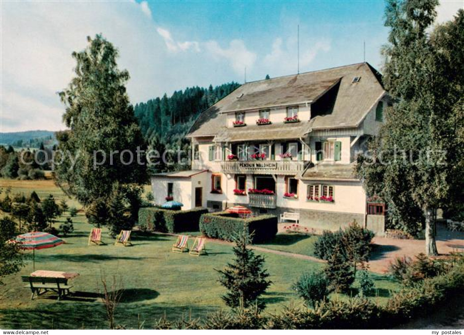 73792986 Hinterzarten Pension Waldheim Aussenansicht M. Garten Hinterzarten - Hinterzarten