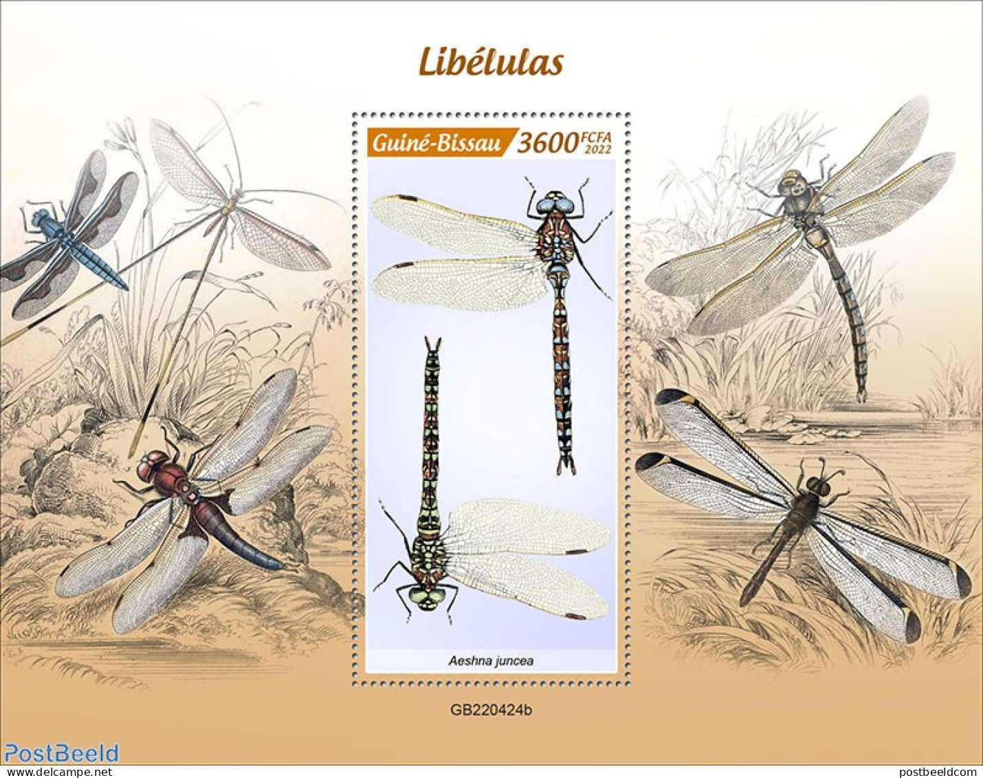 Guinea Bissau 2022 Dragonflies, Mint NH, Nature - Insects - Guinea-Bissau