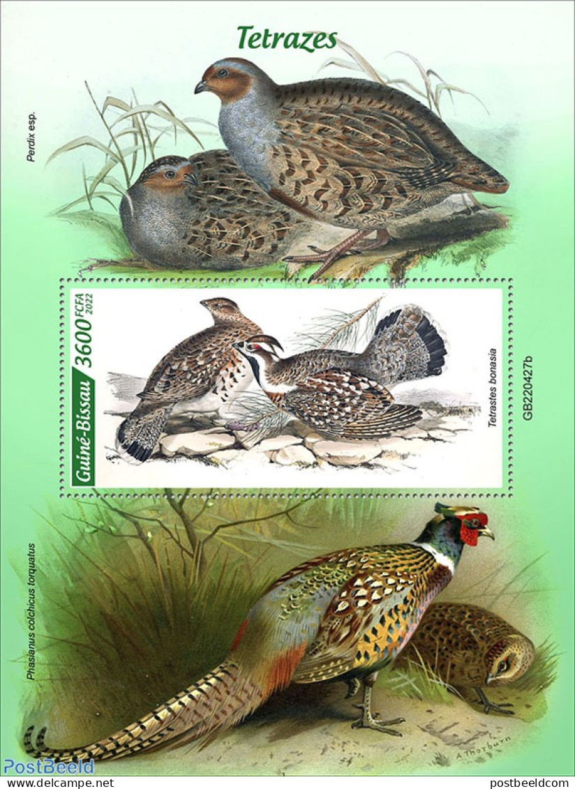 Guinea Bissau 2022 Grouse, Mint NH, Nature - Birds - Guinea-Bissau