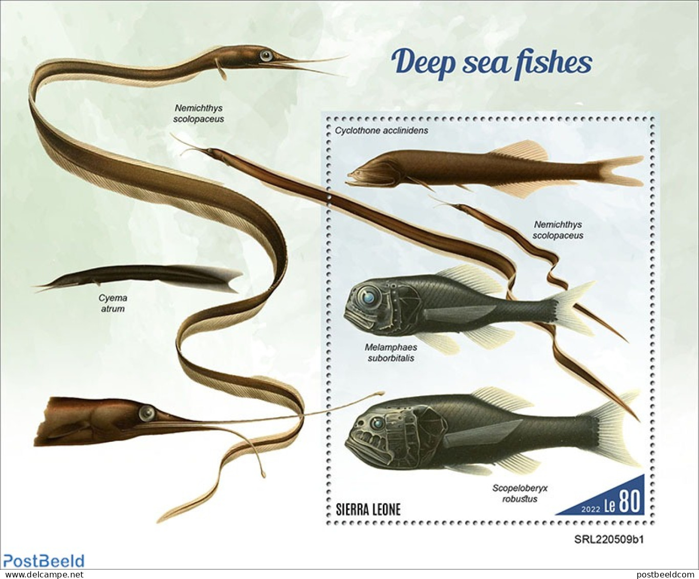 Sierra Leone 2022 Deep-sea Fishes, Mint NH, Nature - Fish - Fishes