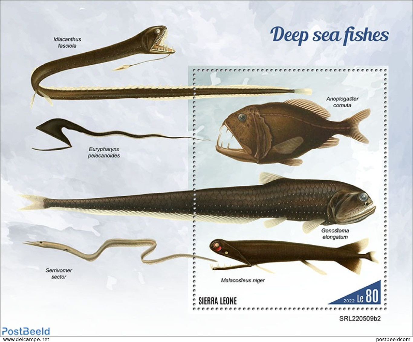 Sierra Leone 2022 Deep-sea Fishes, Mint NH, Nature - Fish - Fishes