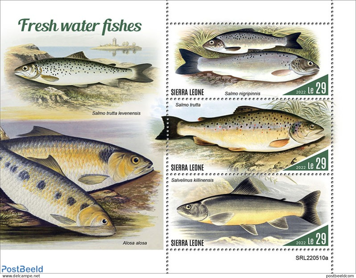 Sierra Leone 2022 Fresh Water Fish, Mint NH, Nature - Fish - Fische