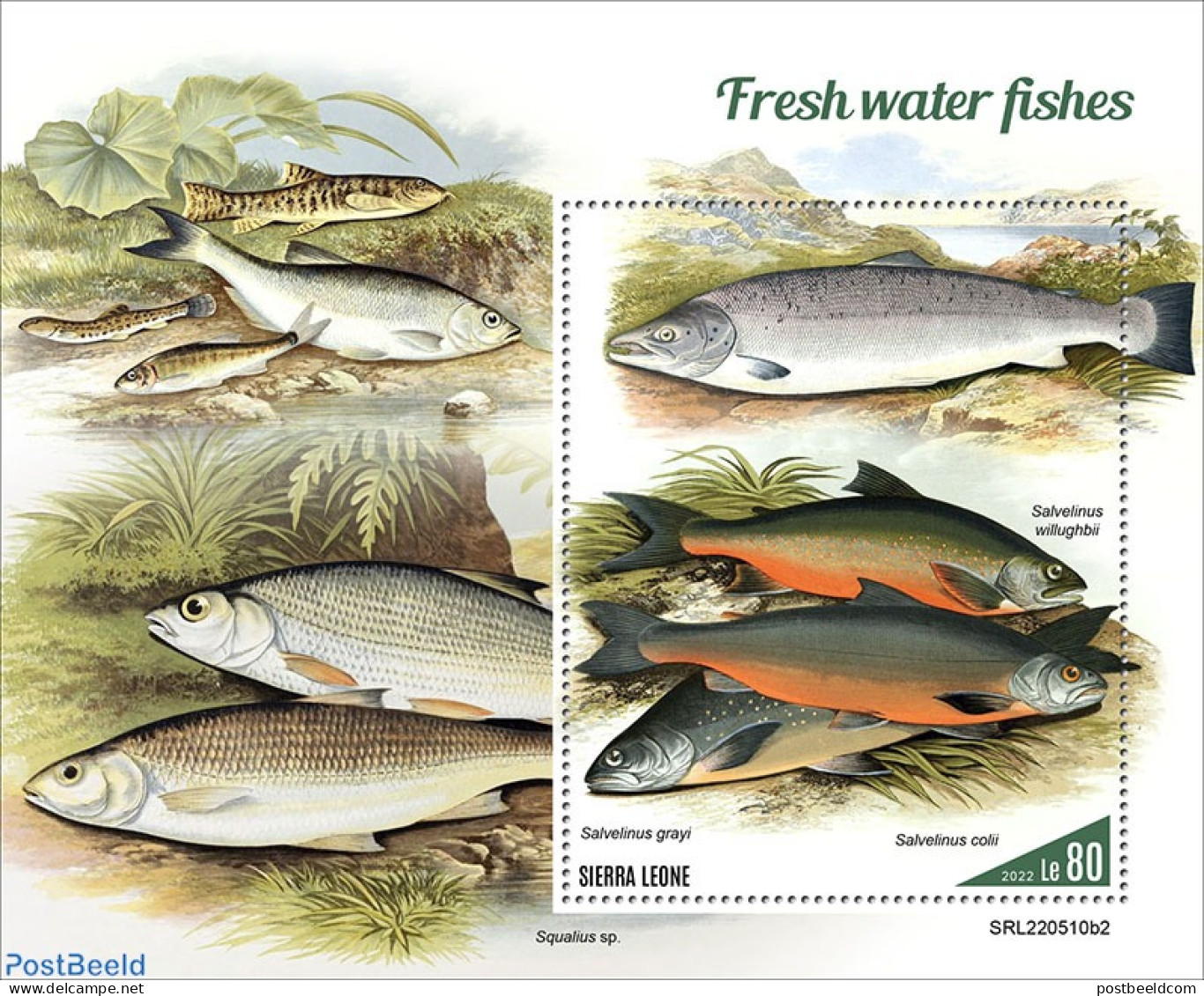 Sierra Leone 2022 Fresh Water Fishes, Mint NH, Nature - Fish - Fische