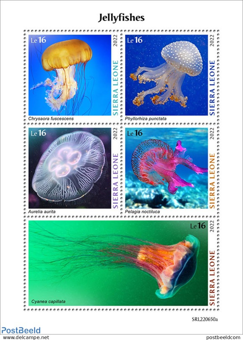 Sierra Leone 2022 Jellyfishes, Mint NH, Nature - Animals (others & Mixed) - Fish - Peces