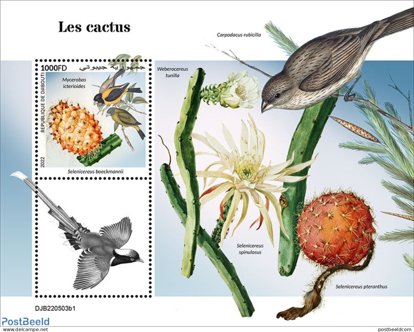Djibouti 2022 Cactus, Mint NH, Nature - Birds - Cacti - Sukkulenten