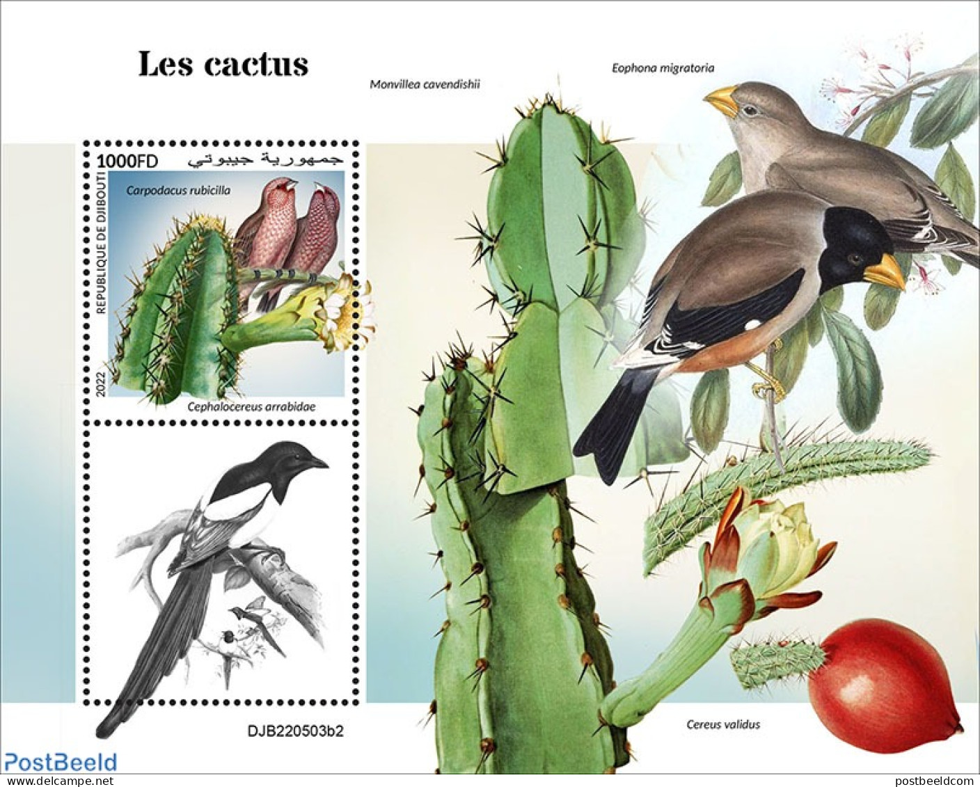 Djibouti 2022 Cactus, Mint NH, Nature - Birds - Cacti - Sukkulenten