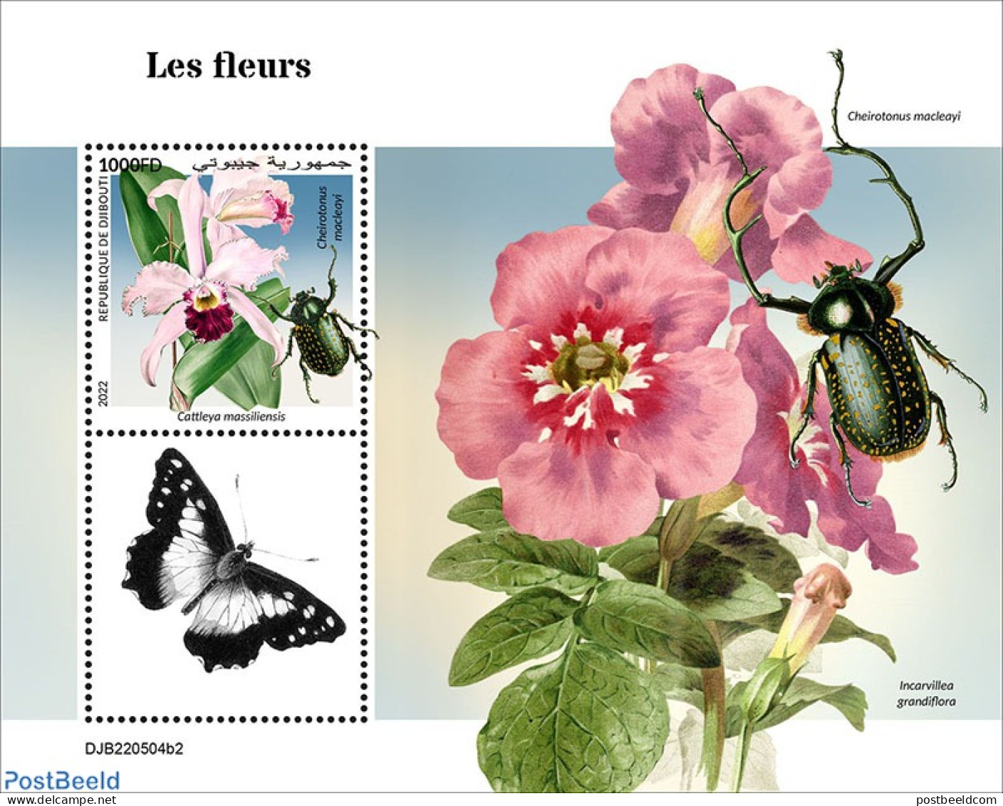 Djibouti 2022 Flowers, Mint NH, Nature - Flowers & Plants - Insects - Djibouti (1977-...)