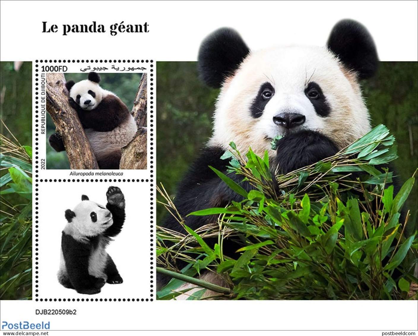 Djibouti 2022 Giant Panda, Mint NH, Nature - Pandas - Dschibuti (1977-...)