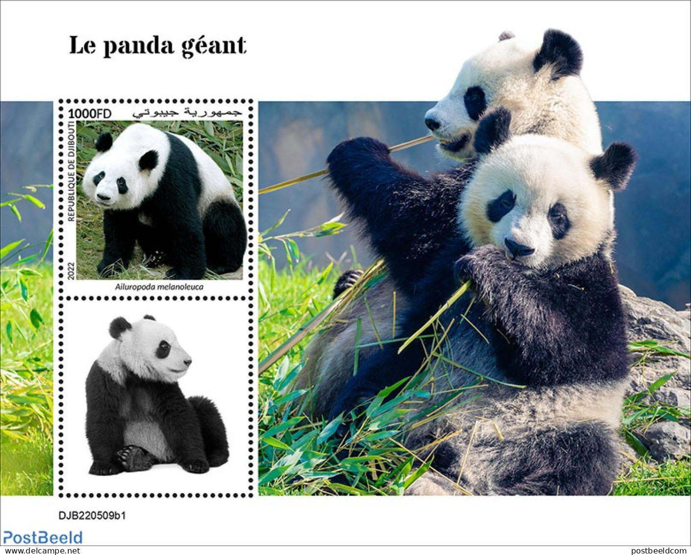Djibouti 2022 Giant Panda, Mint NH, Nature - Pandas - Djibouti (1977-...)