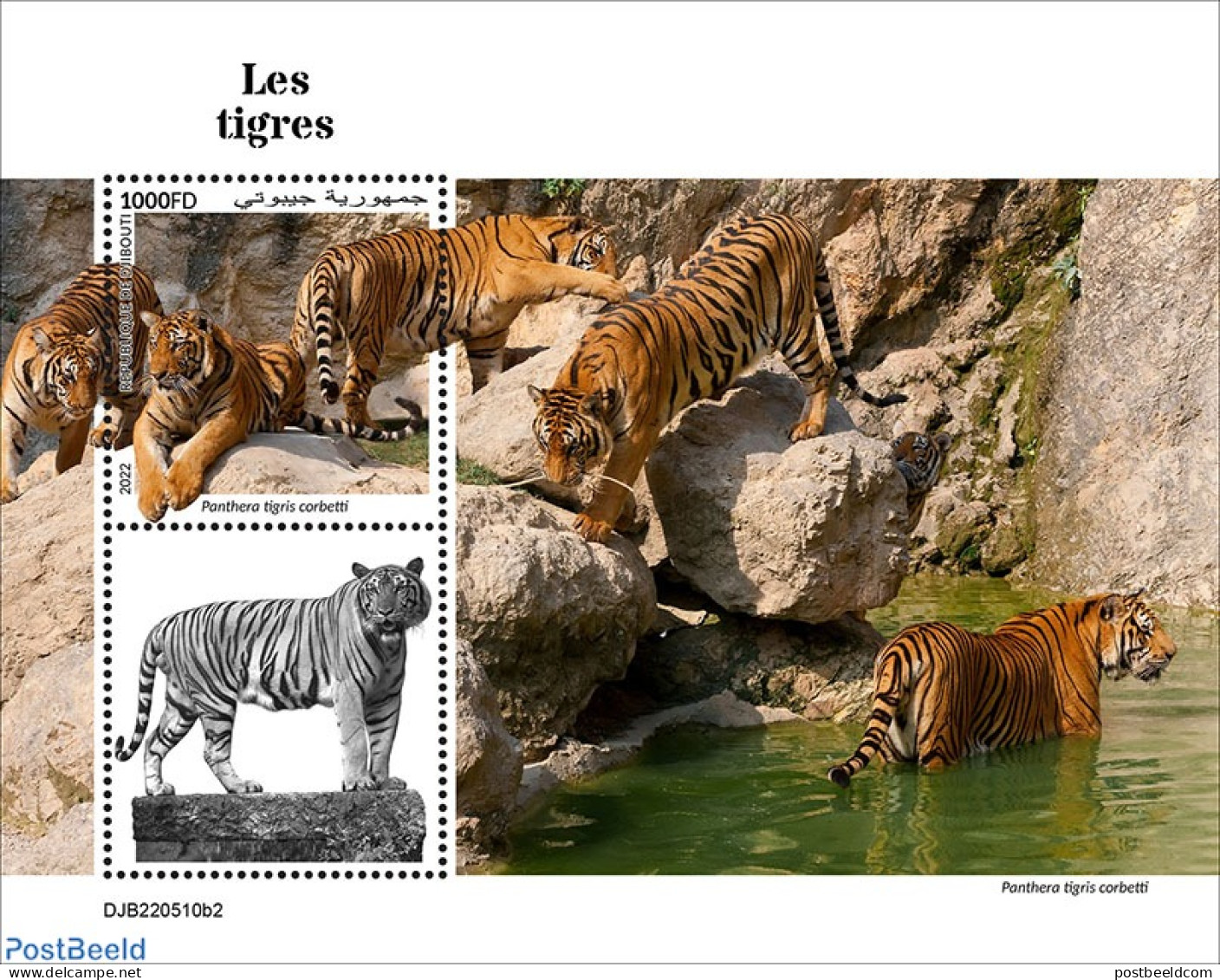 Djibouti 2022 Tigers, Mint NH, Nature - Cat Family - Djibouti (1977-...)