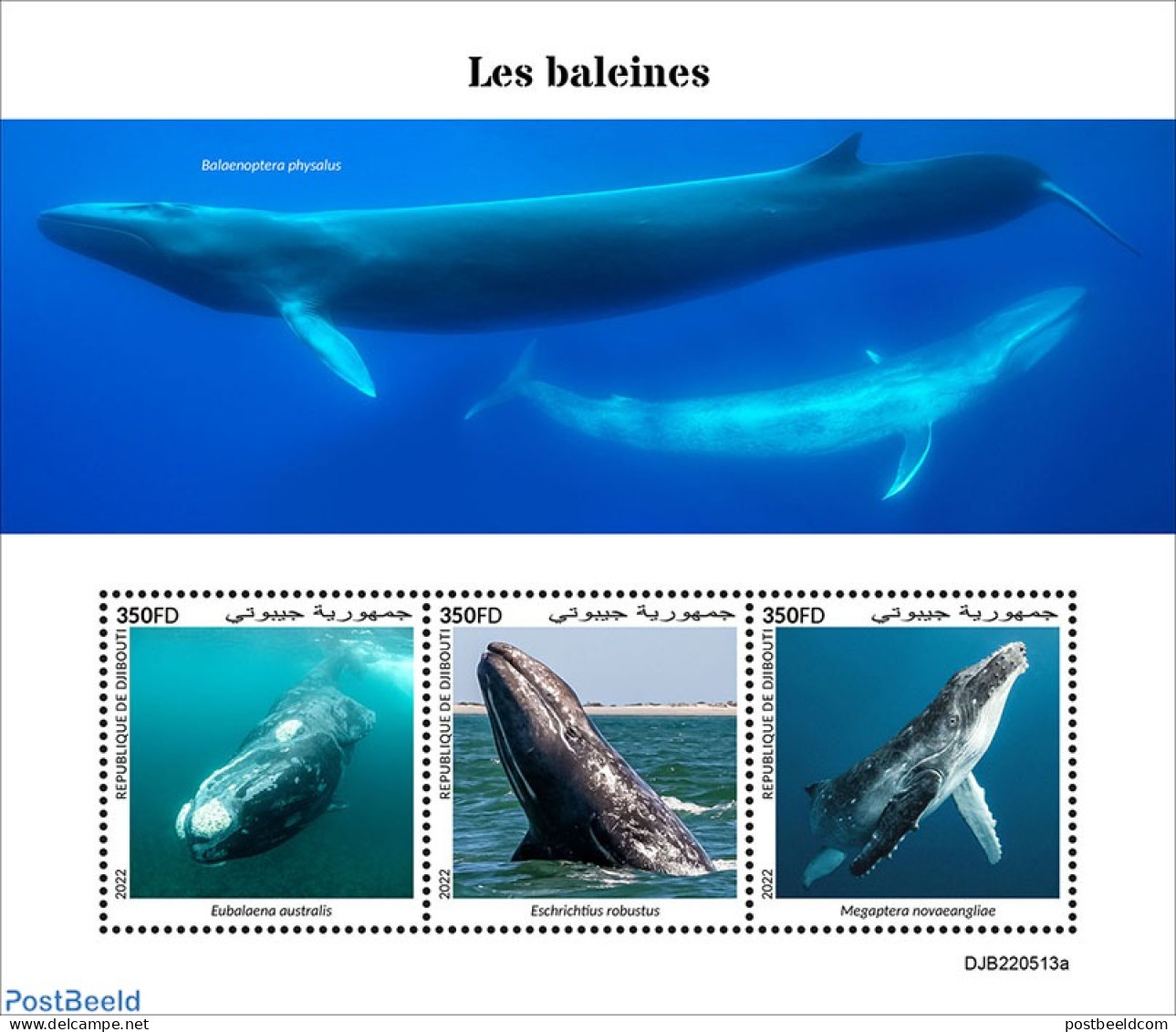 Djibouti 2022 Whales, Mint NH, Nature - Sea Mammals - Dschibuti (1977-...)