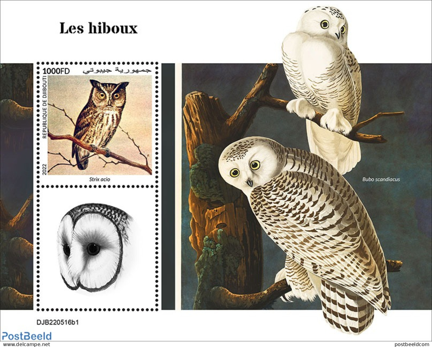 Djibouti 2022 Owls, Mint NH, Nature - Birds - Birds Of Prey - Owls - Djibouti (1977-...)