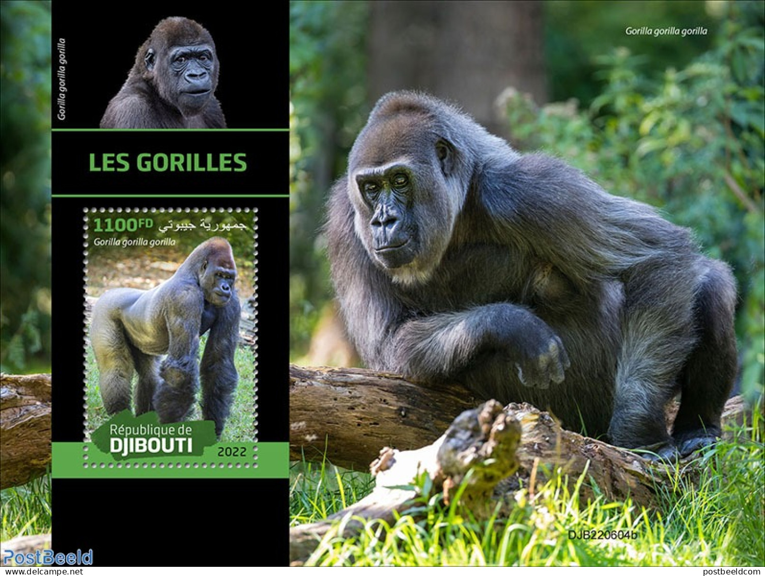 Djibouti 2022 Gorillas, Mint NH, Nature - Monkeys - Dschibuti (1977-...)